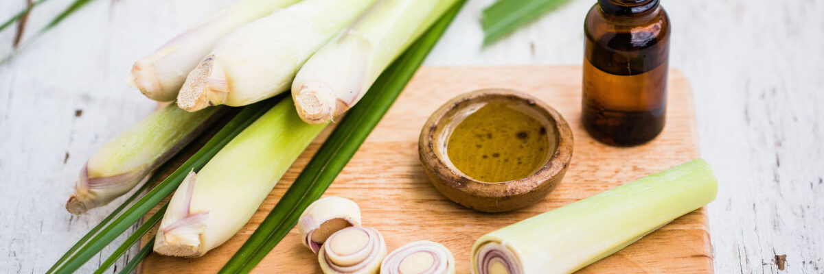 Check Out the Amazing Benefits and Uses of Lemongrass